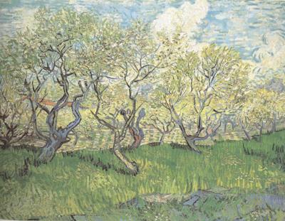 Vincent Van Gogh Orchard in Blossom (nn04)
